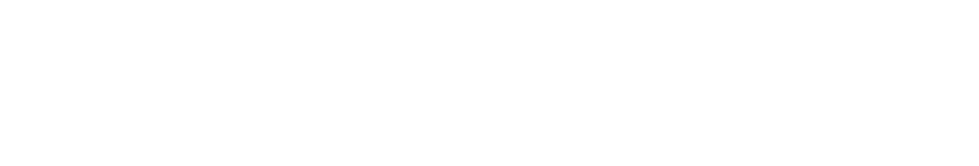 Smart Vision